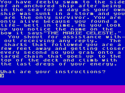 Marie Celeste Adventure screenshot